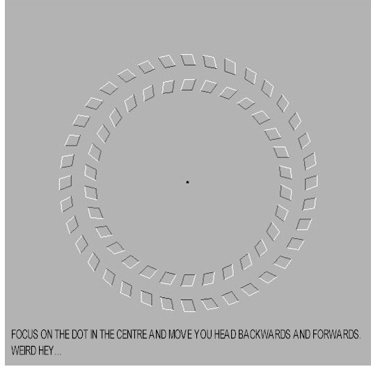 circle.jpg